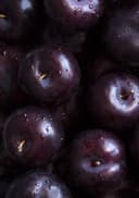Dark Plum