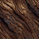 Blonde Woods