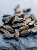 Tonka Bean