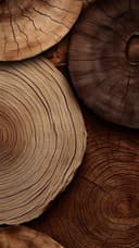 Soft Woods