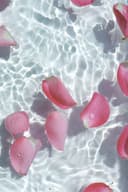 Rosewater